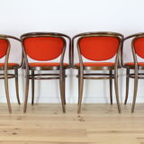 Chairs bistro curved wood called "Le Corbusier"