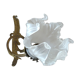 Ancient art nouveau tulip applied