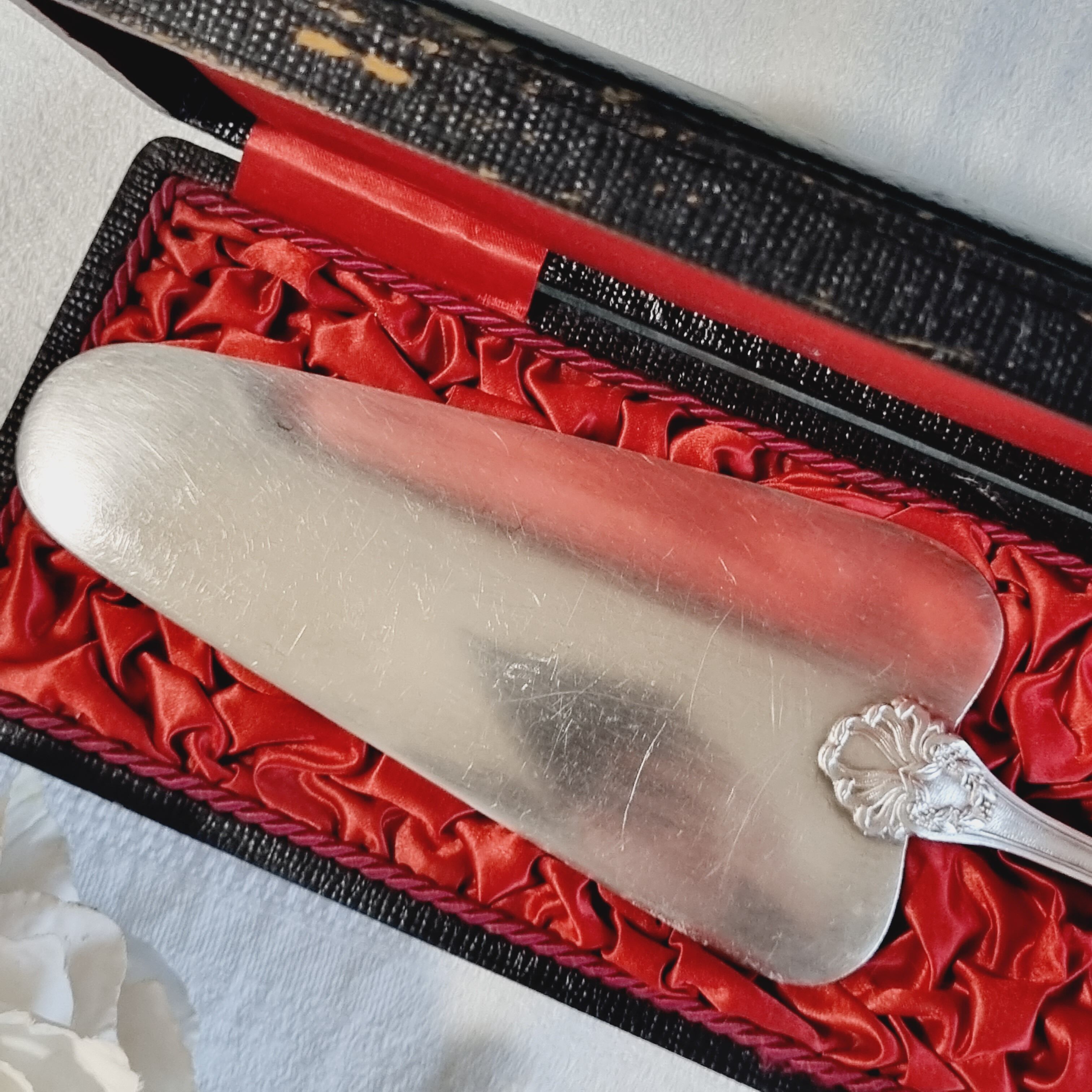 Boulenger pie shovel