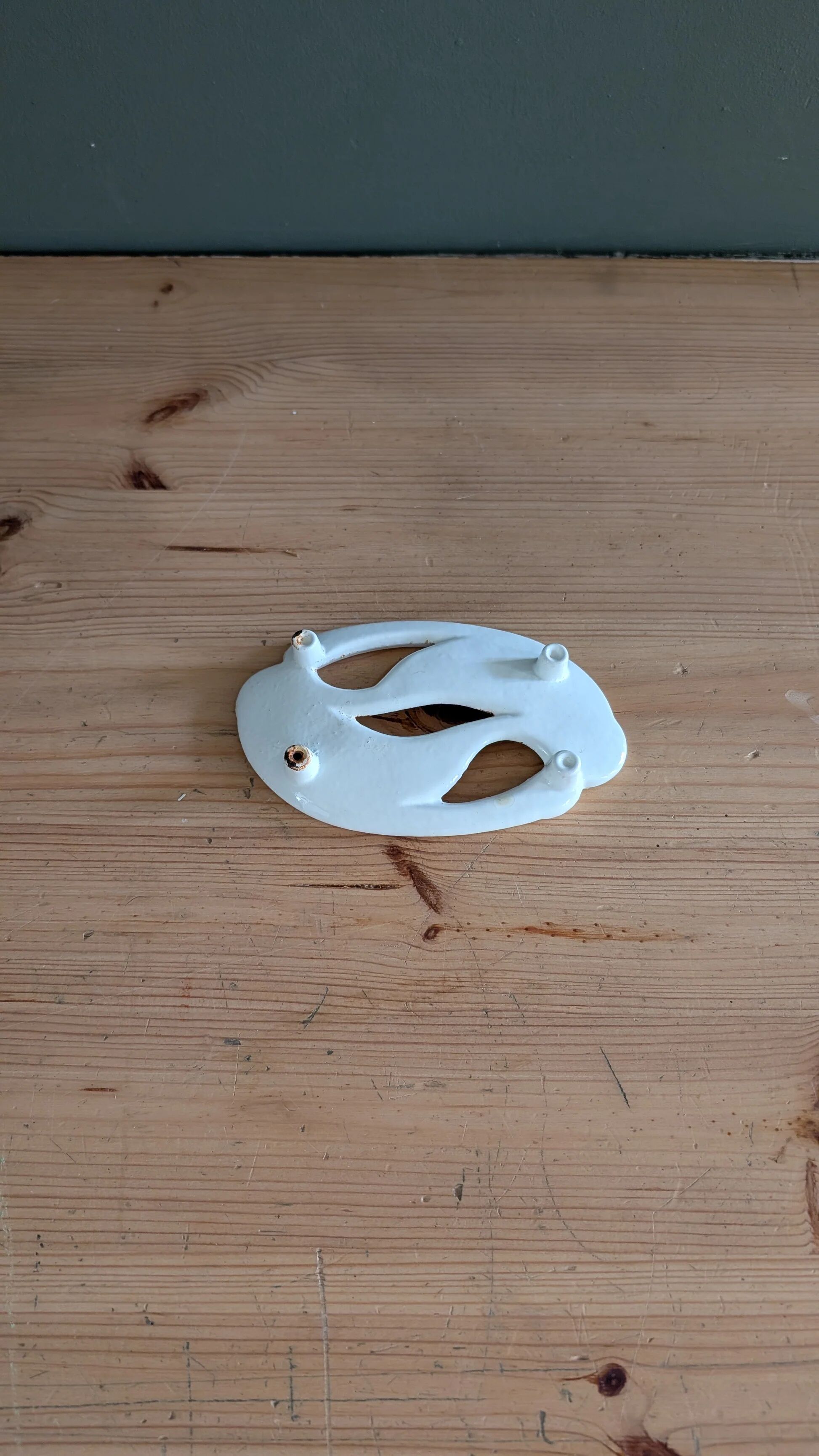 Fish-shaped soap dish