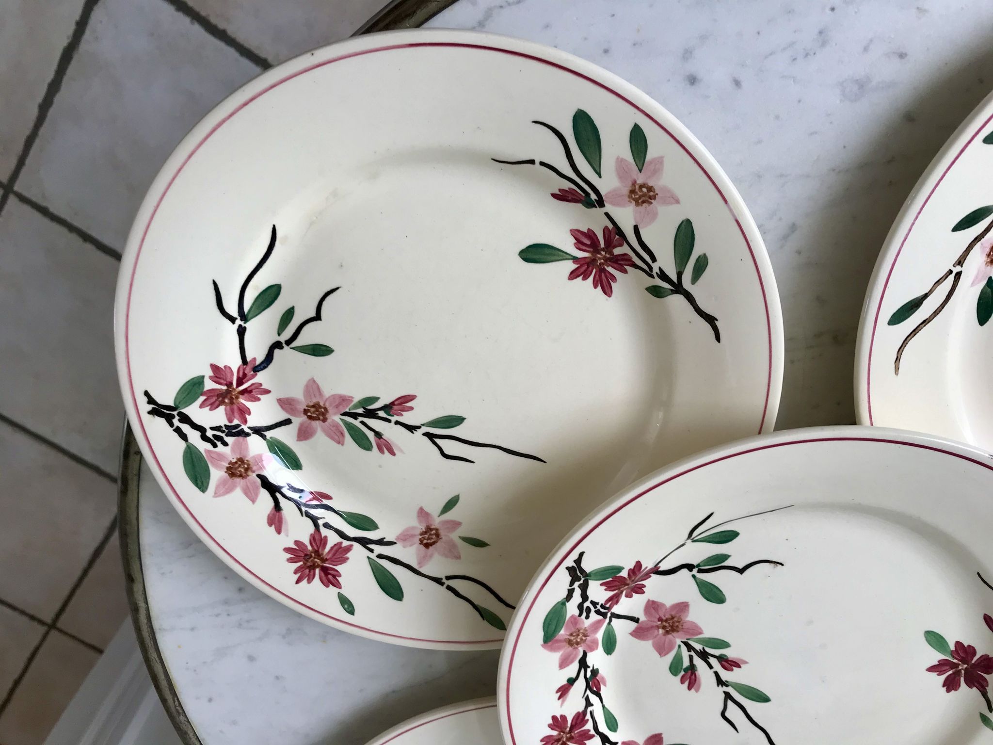 5 flat plates Digoin Sarreguemines model Aigues-Vives hand painted years 30-40