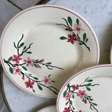 5 flat plates Digoin Sarreguemines model Aigues-Vives hand painted years 30-40