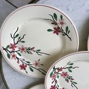5 flat plates Digoin Sarreguemines model Aigues-Vives hand painted years 30-40