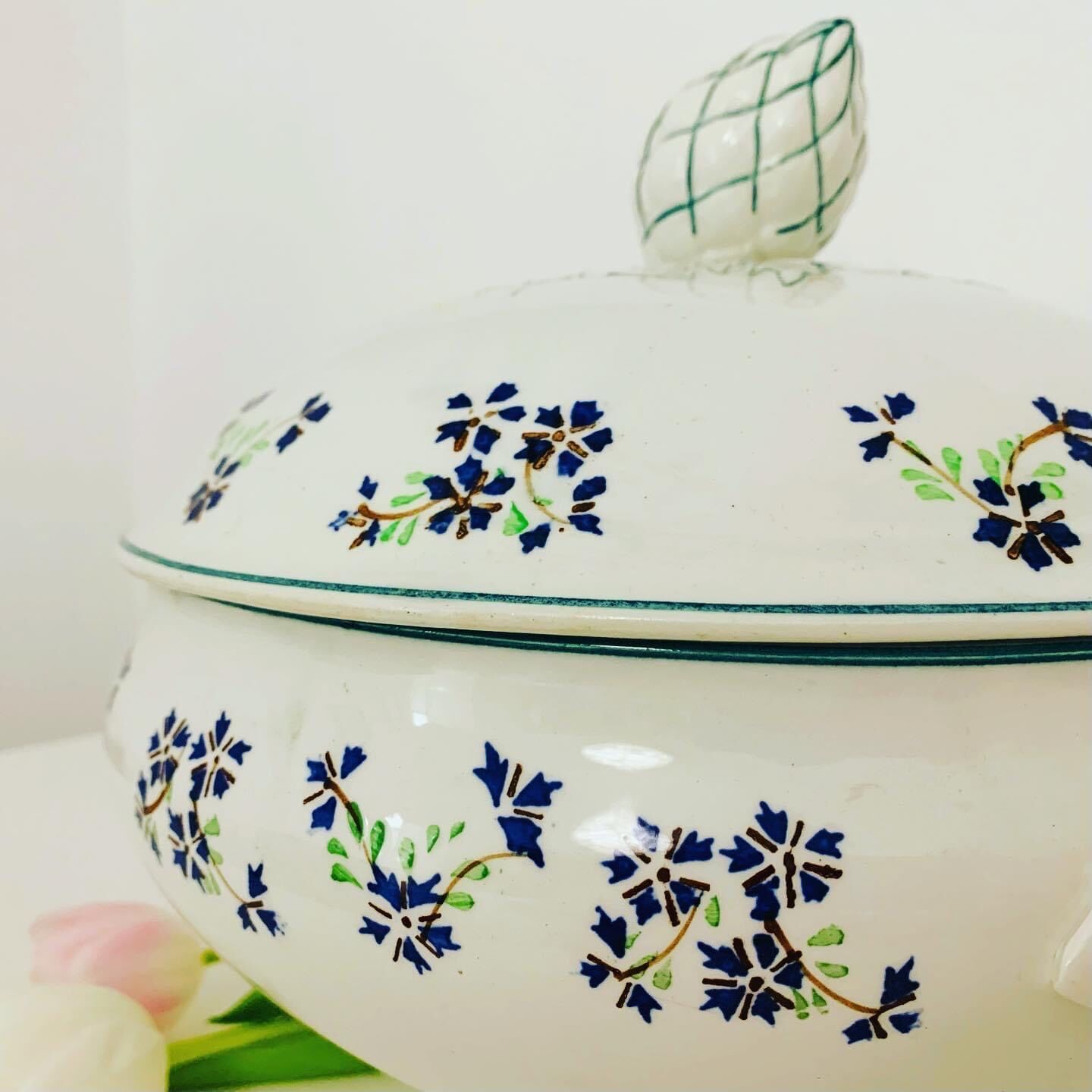 Porcelain tureen / earthenware of onnaing decoration barbeau