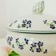 Soupière en porcelaine/faïence d’onnaing décor barbeau
