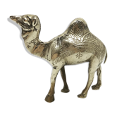 Golden brass camel