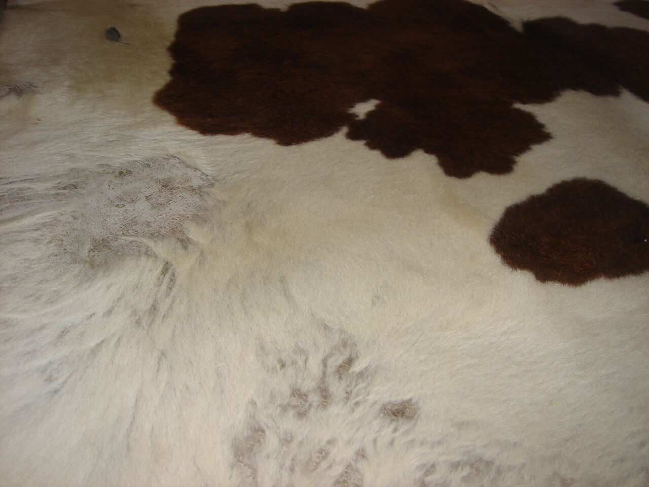 Tanned calf skin