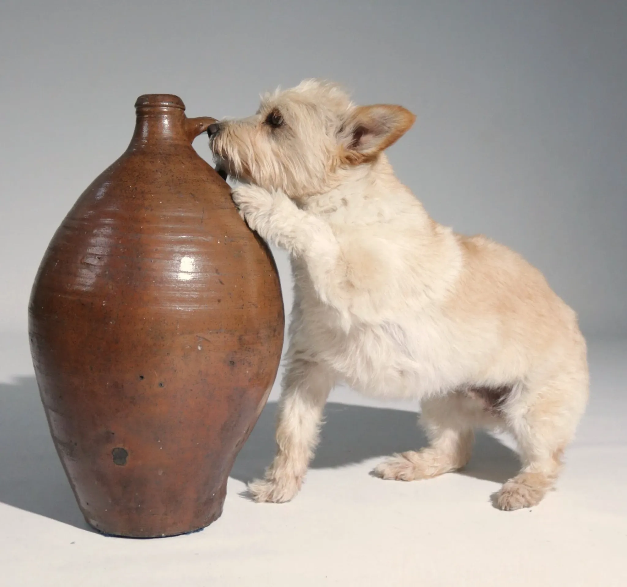 Brown stoneware jug with handle – 19th century