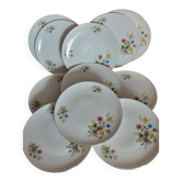 Set of 11 flat plates Bavaria