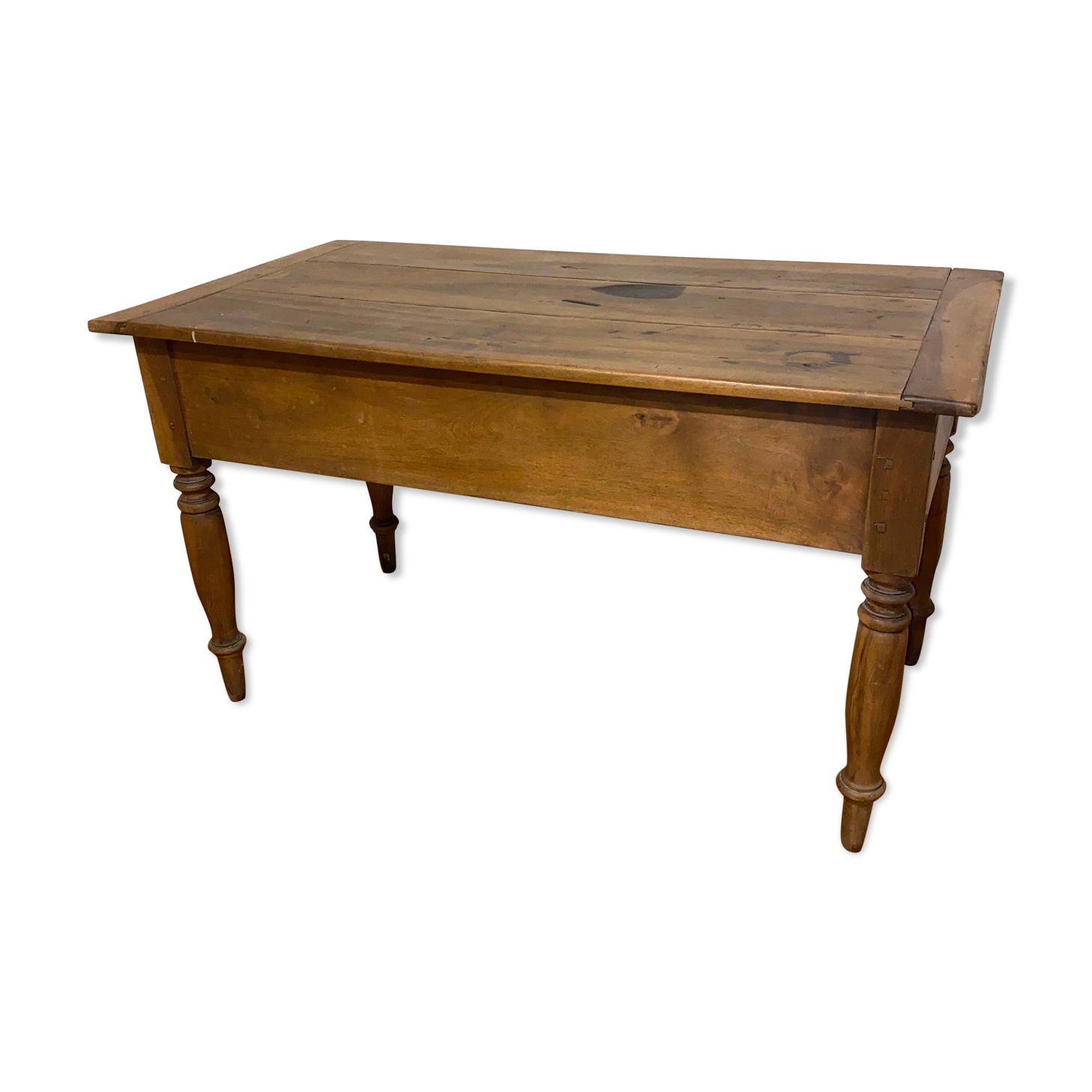 Dolphin table petri dish