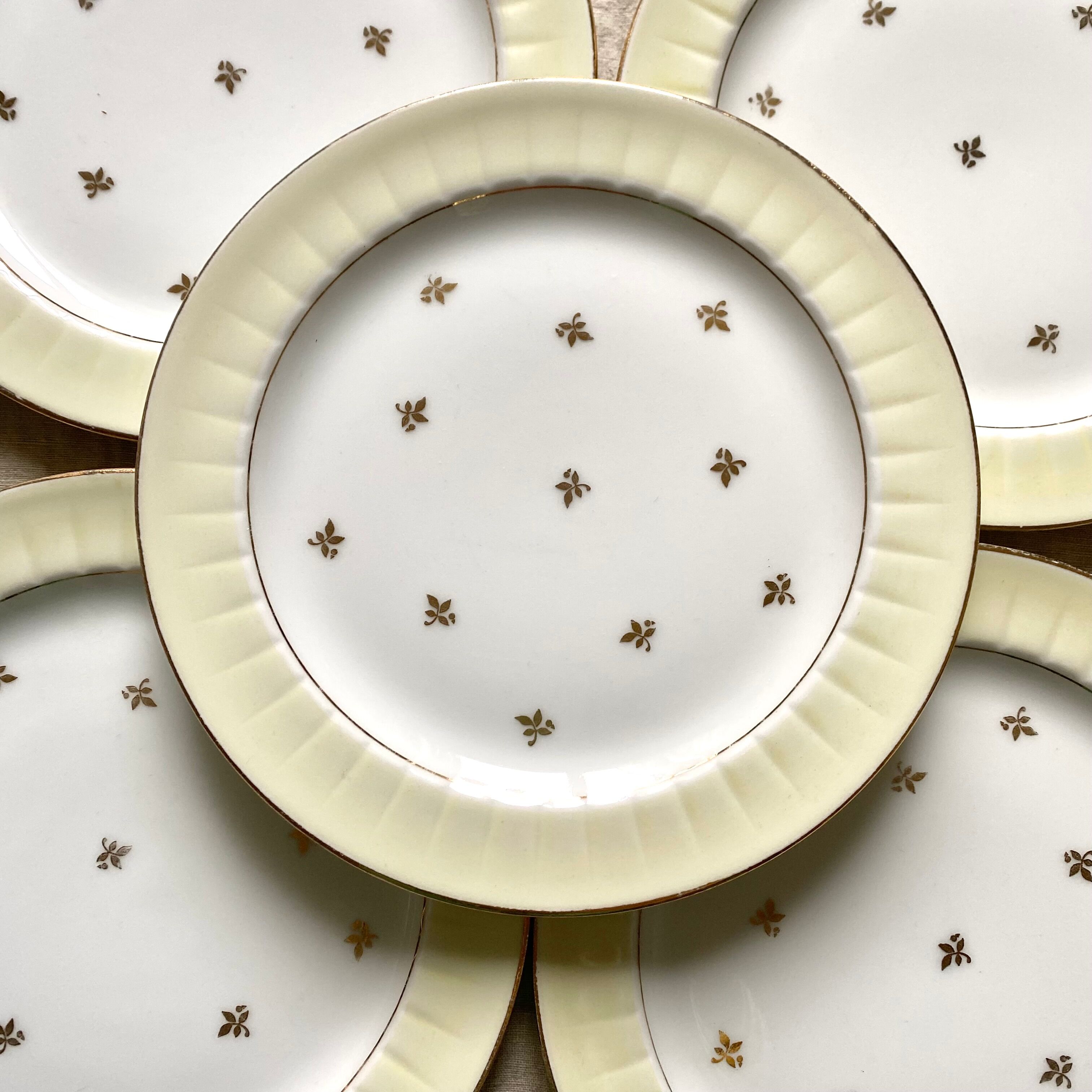 Limoges porcelain dessert service