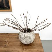 Spherical planter DLG Willy Guhl