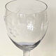 Lot de 10 verres et un pichet en verre gravé