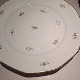 Standing presentation plate