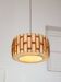 Mid-Century Danish Pendant Lamp in Teak, 1960s