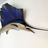 Sailing swordfish