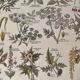 Lithograph on poisonous plants - 1920