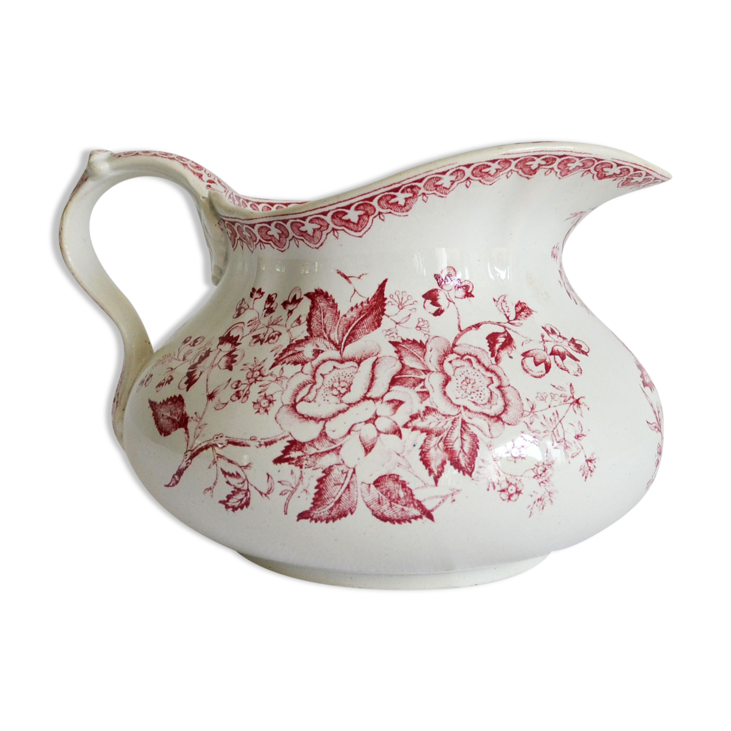 Bushy earth pitcher