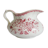 Bushy earth pitcher