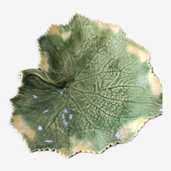 Empty pocket cabbage leaf