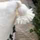 Pouf de sol en laine "a cheval"