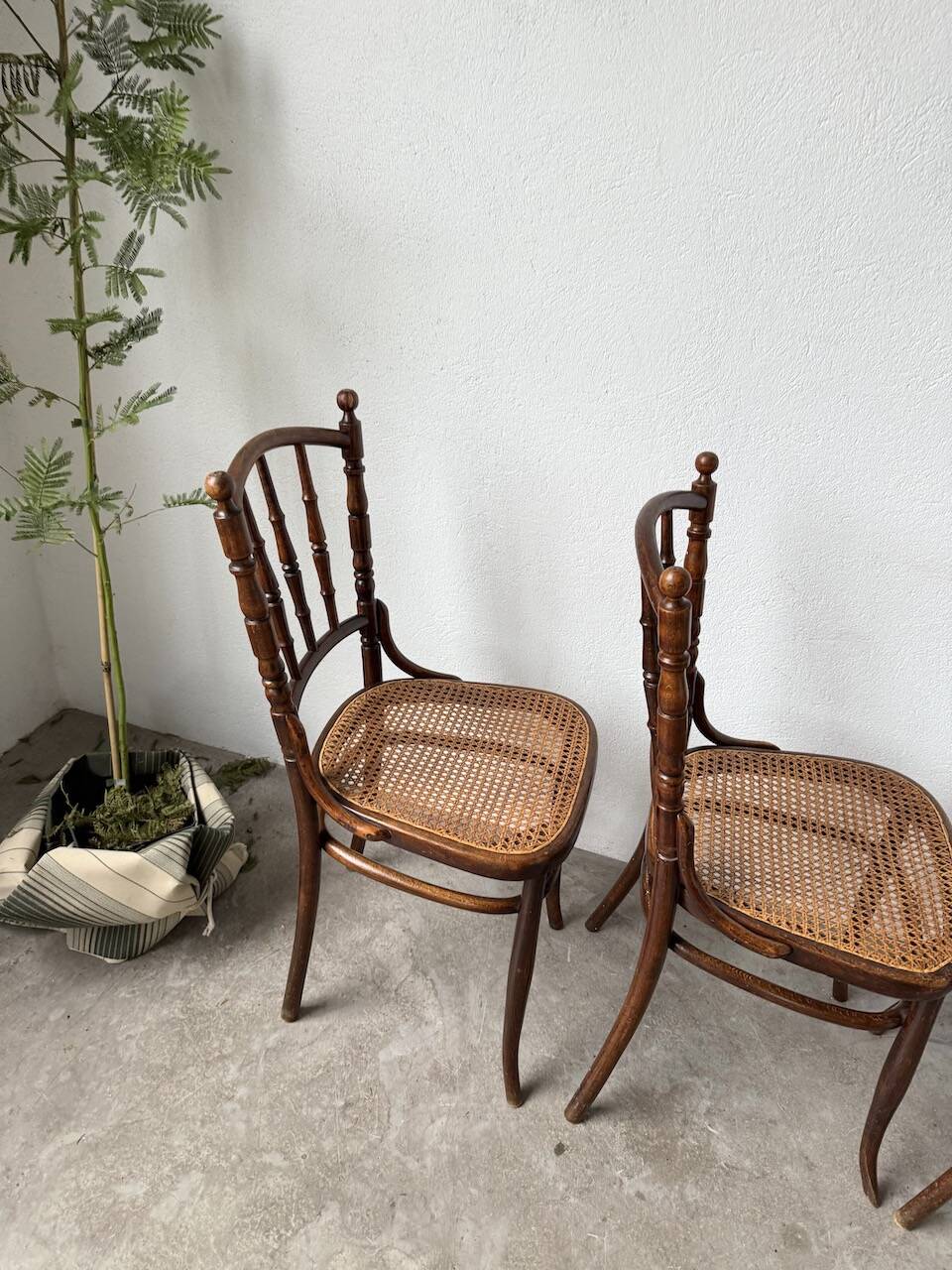 Set of 4 Fischel cane bistro chairs