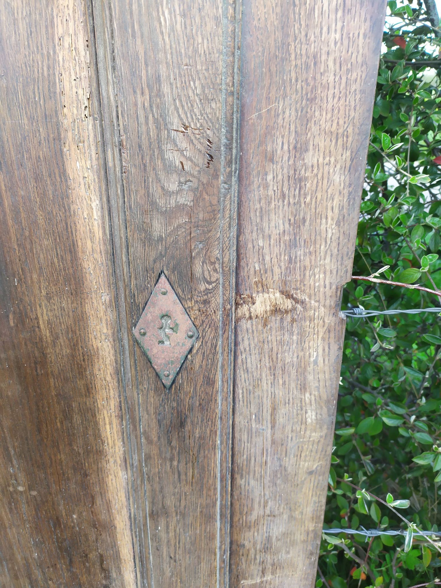 Portes d'armoire en chêne