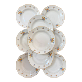Hollow plates porcelain of Limoges with flower