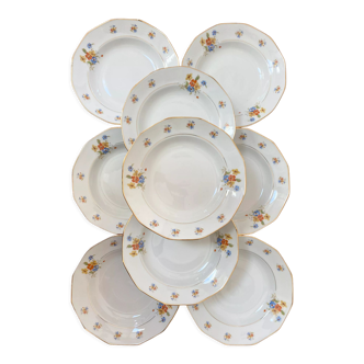 Hollow plates porcelain of Limoges with flower