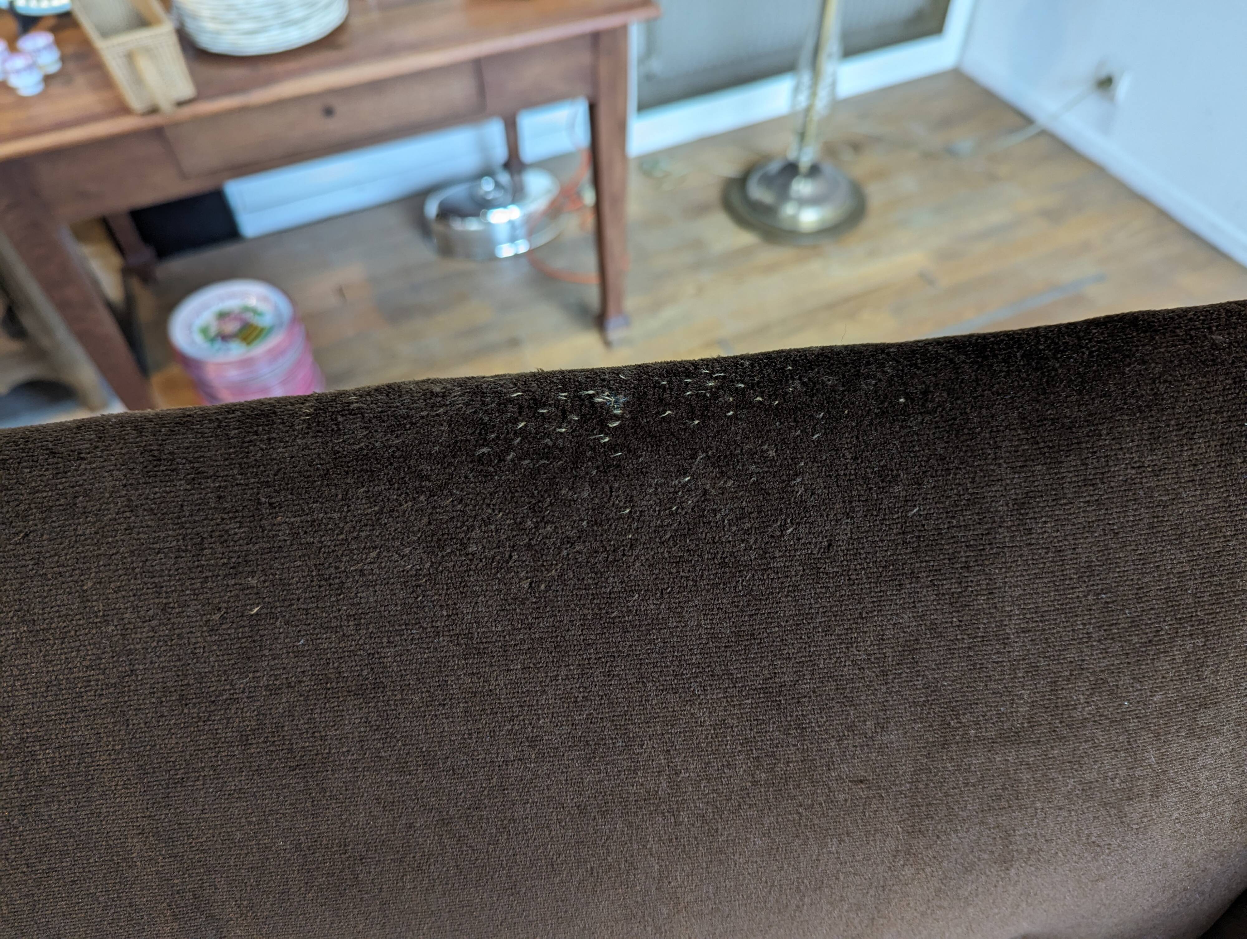 English bench in belours