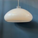 Space-age mushroom suspension