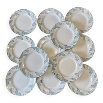 Set of 12 Saint Amand plates