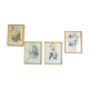 Set of 4 framed botanical and ornithological boards