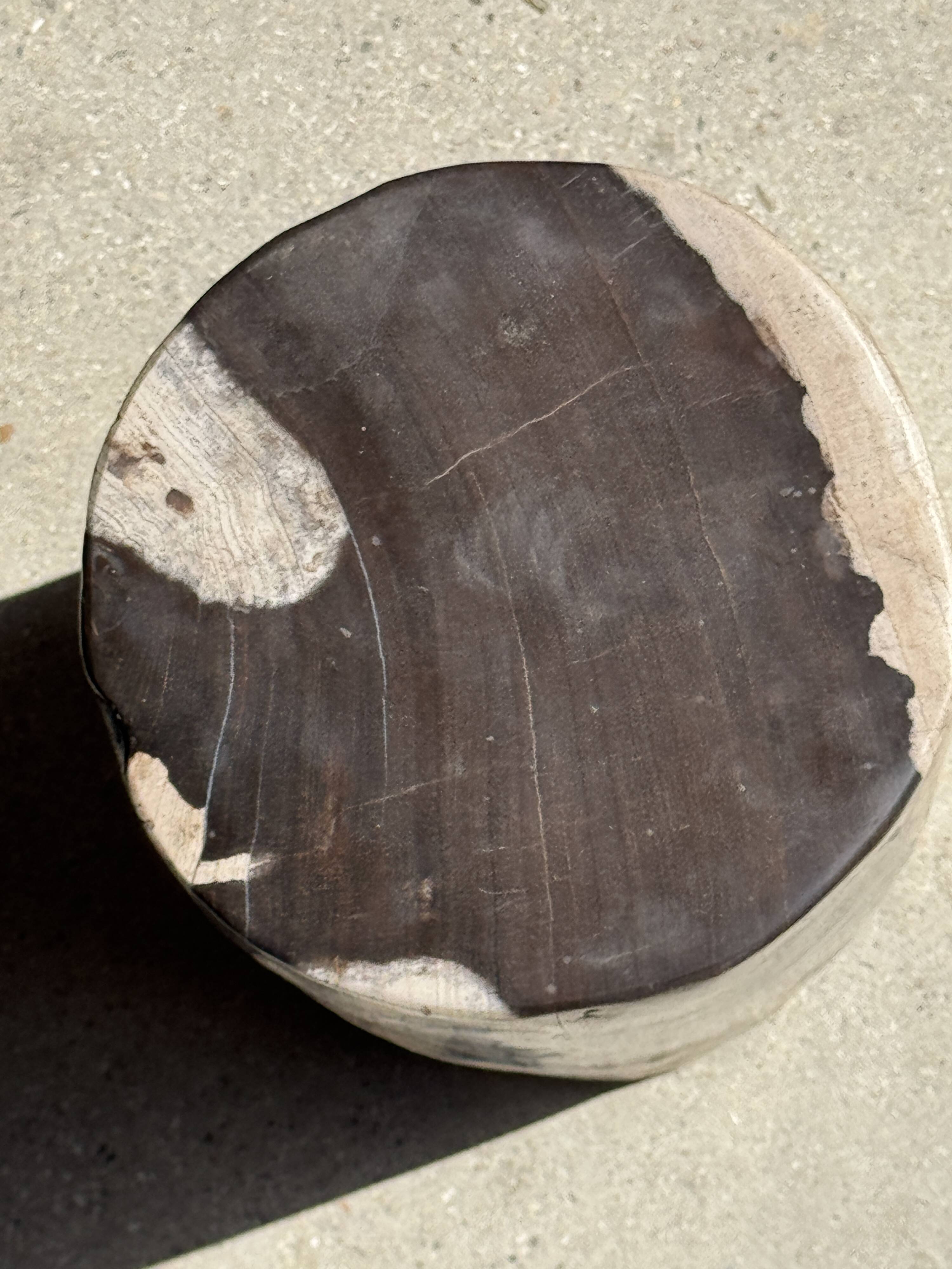 Small side table in black and white petrified wood H28 D18