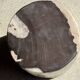 Small side table in black and white petrified wood H28 D18
