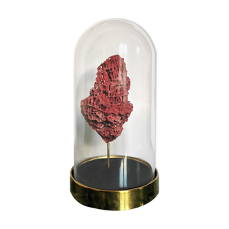 Corail rouge des années 70 sous globe vitré et base en laiton