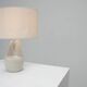 French ceramic bird lamp