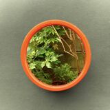 Vintage round wall mirror in orange plastic - diameter: 46 cm