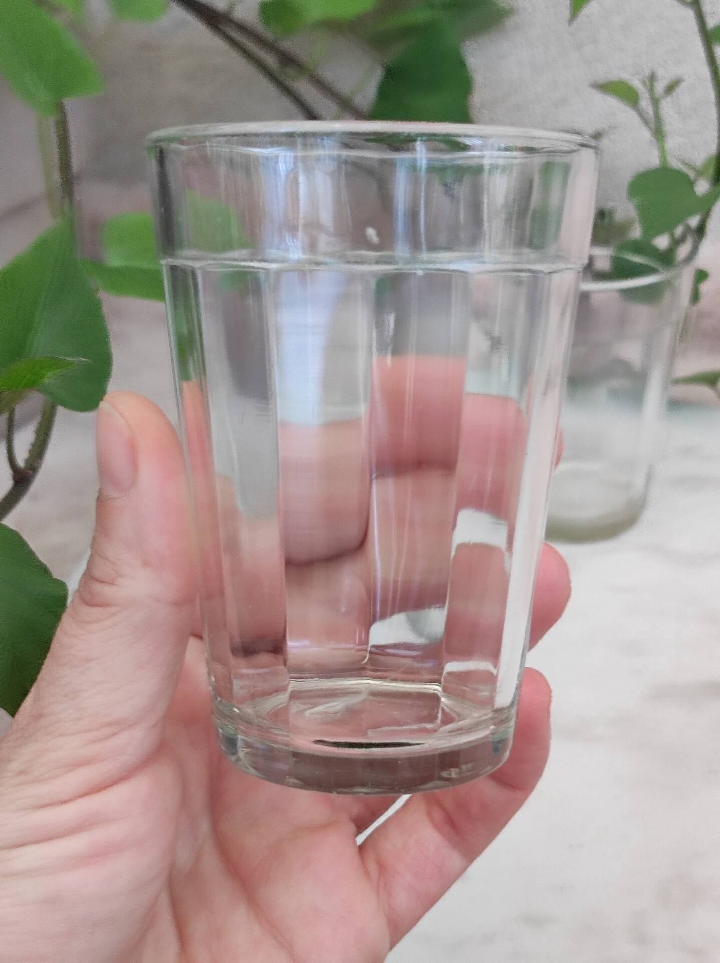 Facet cut glasses