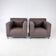 Set of 2 Pastoe Roots Lounge Chairs by Hannes Wettstein, 1998