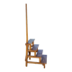 Old library stepladder
