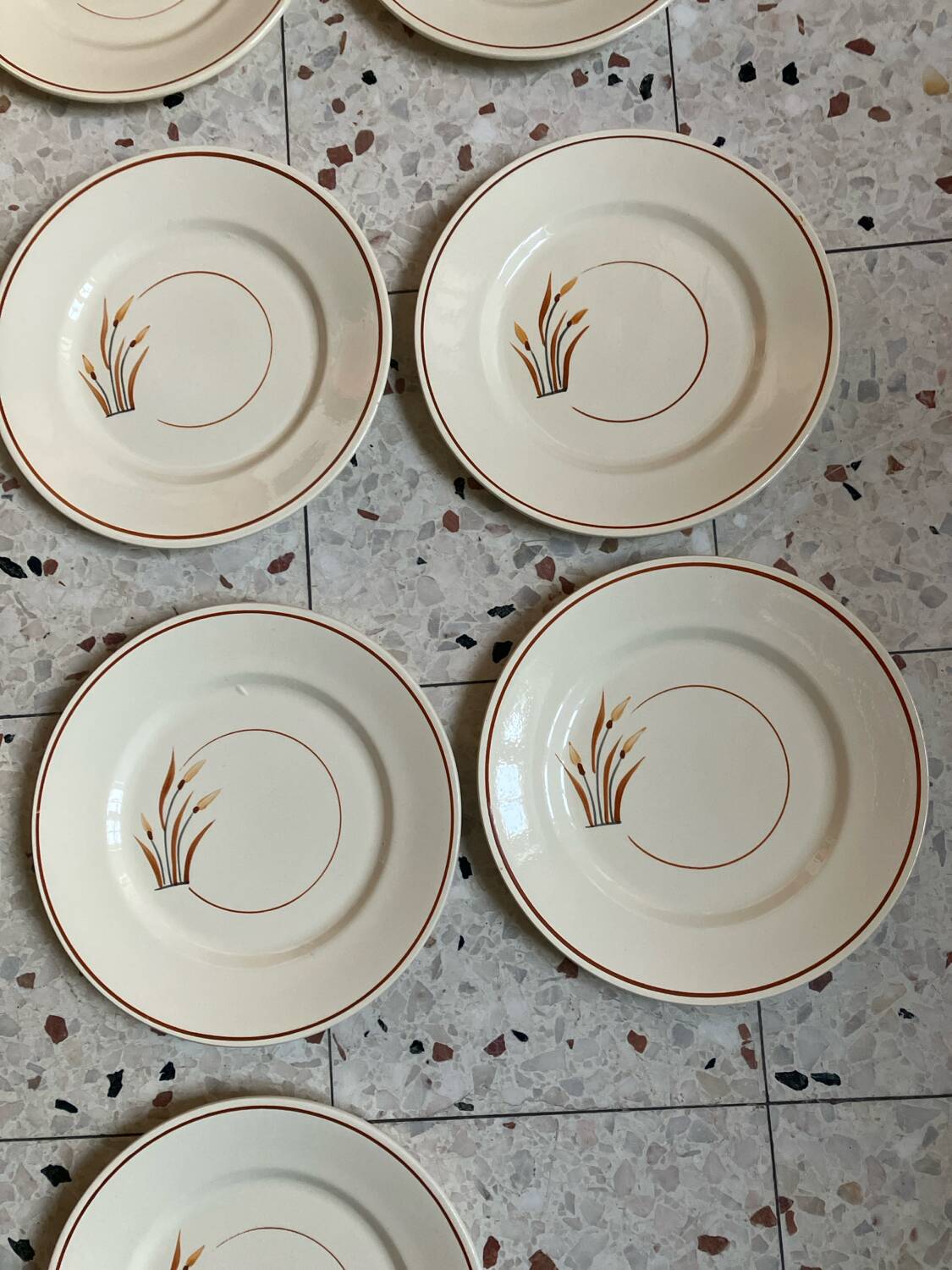 10 assiettes à dessert 