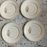 10 assiettes à dessert 