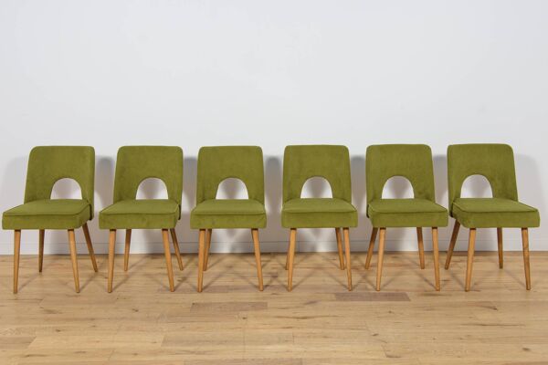 Chaises Shell de l'usine de meubles de Bydgoszcz, Pologne, années 1960, lot de 6