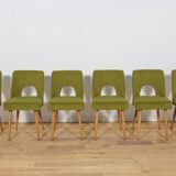 Shell Chairs from Bydgoszcz Furniture Factory, Poland, 1960s, Set of 6