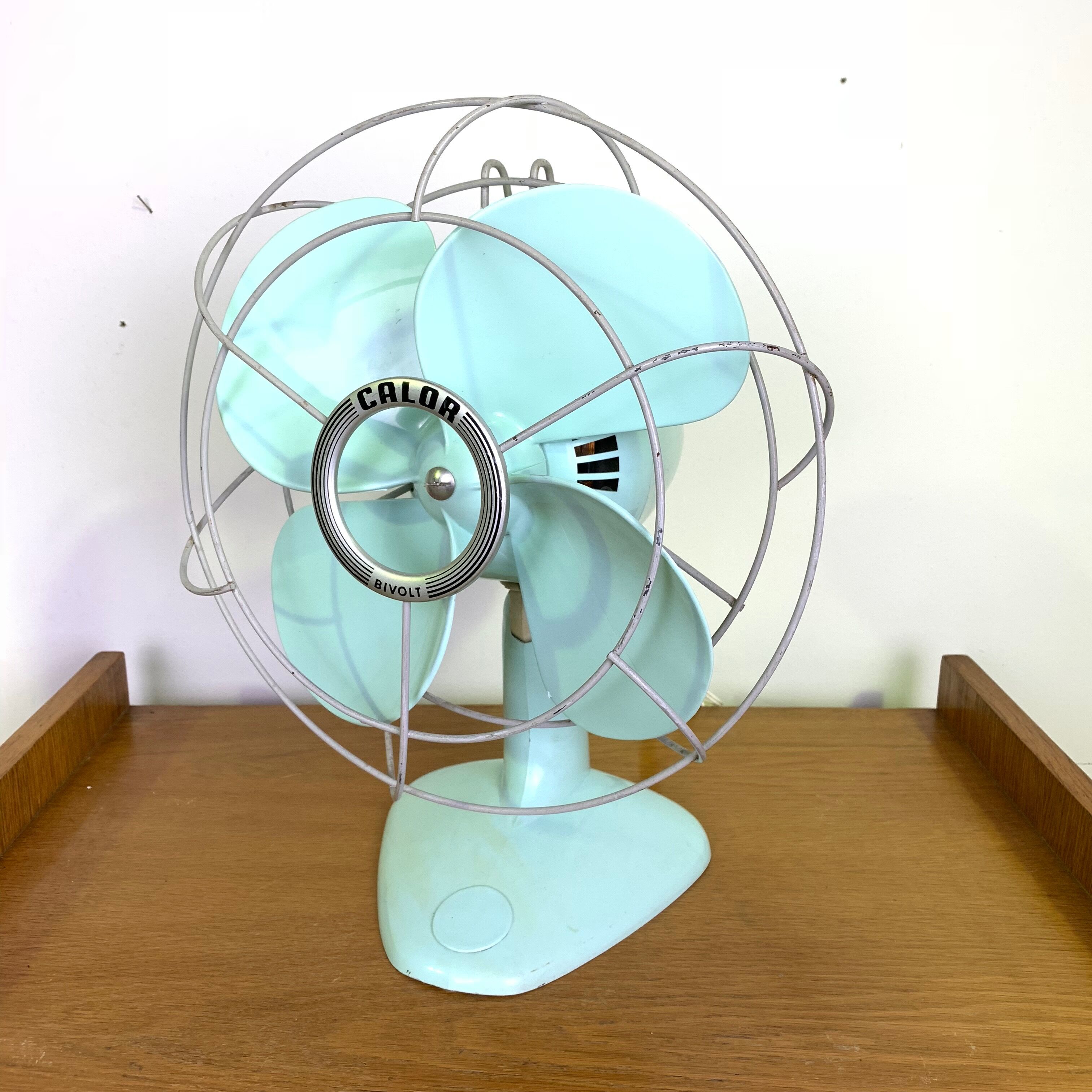 Green mint fan Calor