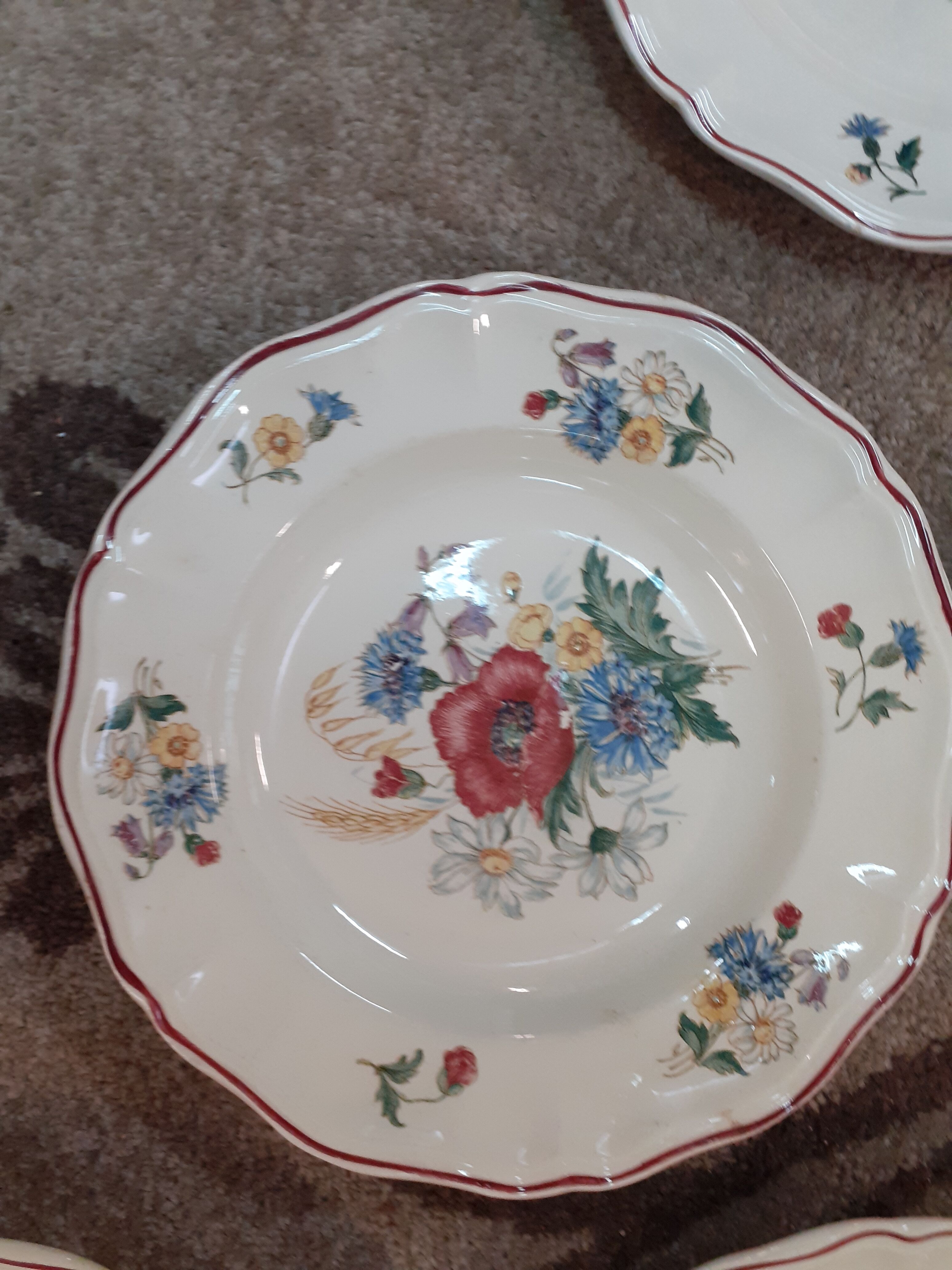 Lot de 6 assiettes creuses Sarreguemines modèle Agreste