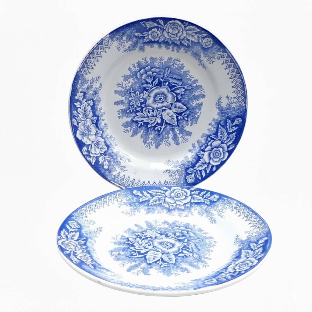 2 blue and white floral plates Terre de Fer St Amand Jardinière