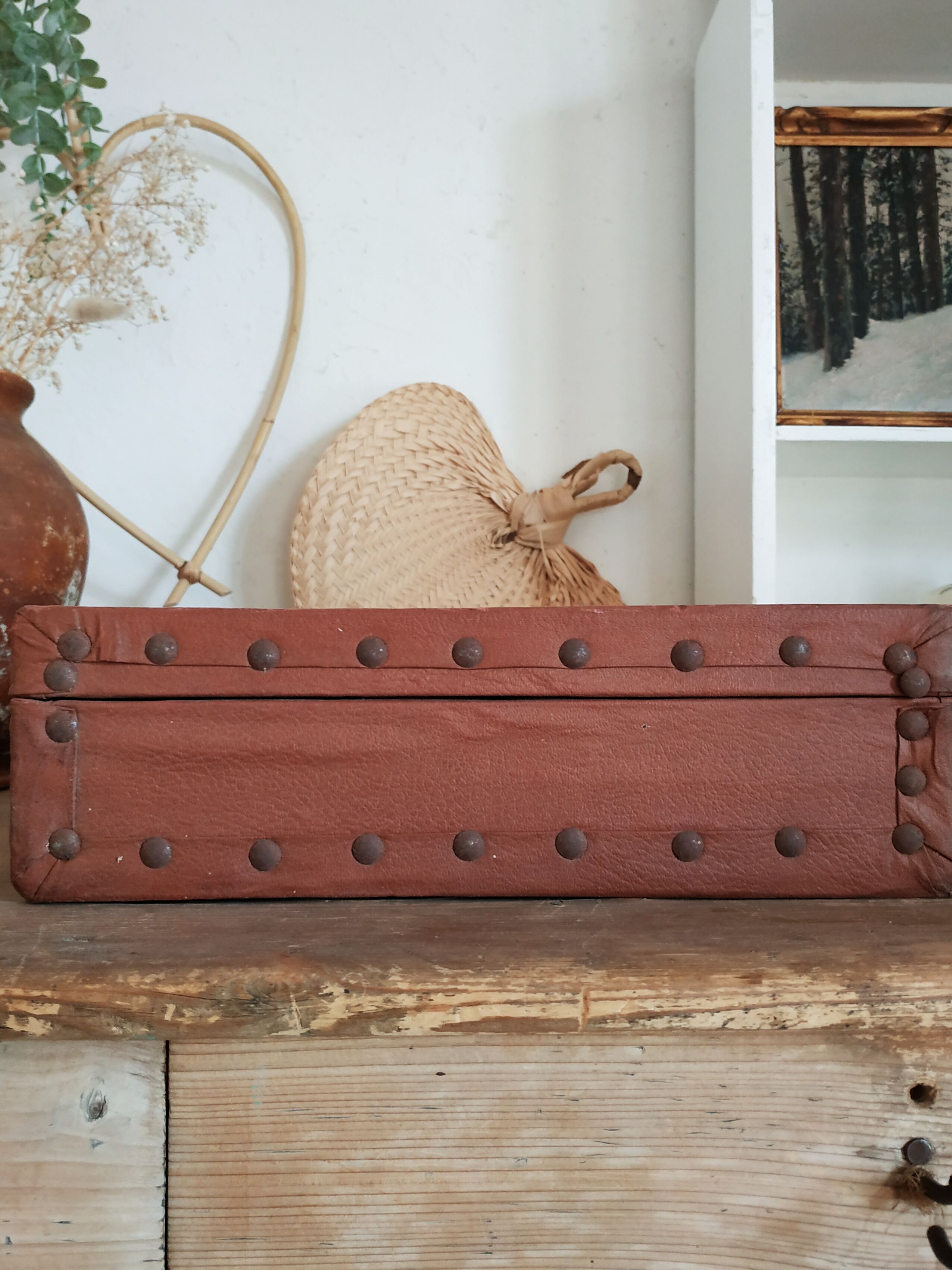 Floral interior brown vintage case