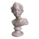 Plaster bust